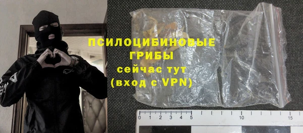 стаф Абинск