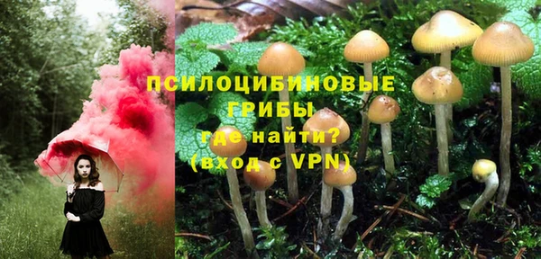 стаф Абинск