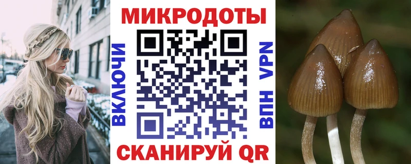 Галлюциногенные грибы прущие грибы  как найти закладки  Фёдоровский 